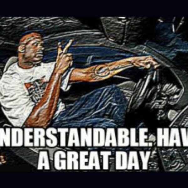 Understandable, have a nice day meme.