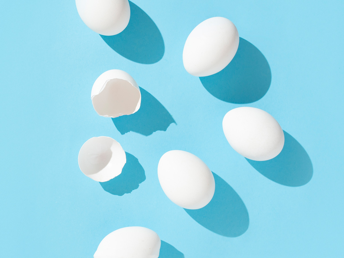 Eggs on a blue background