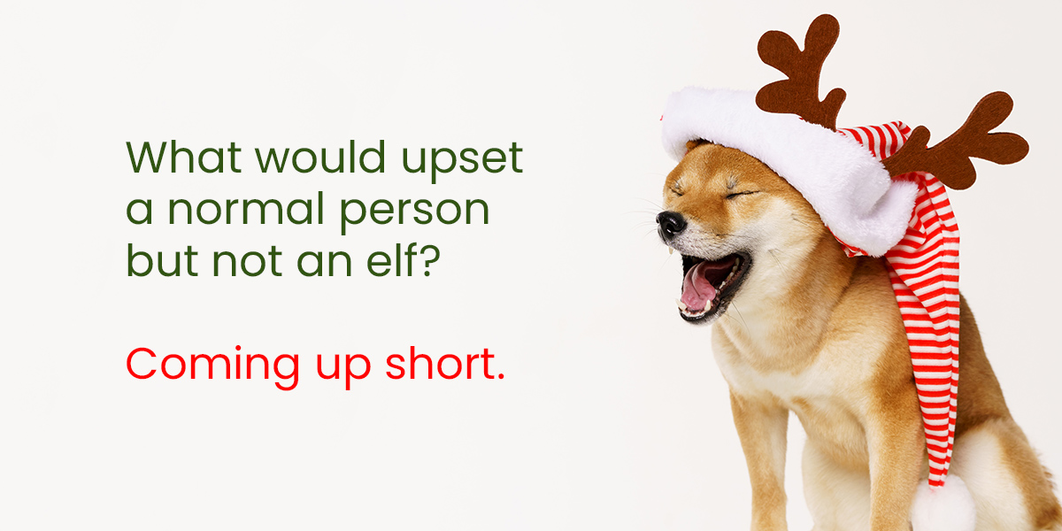 Funny elf joke