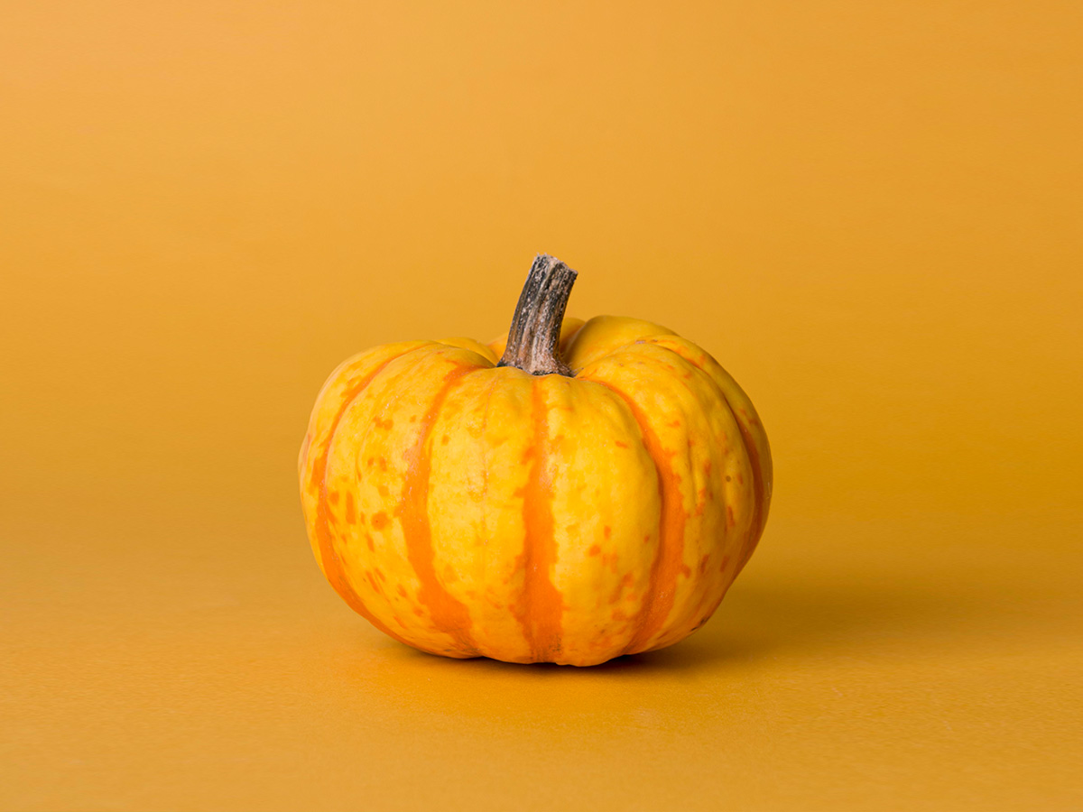 pumpkin jokes